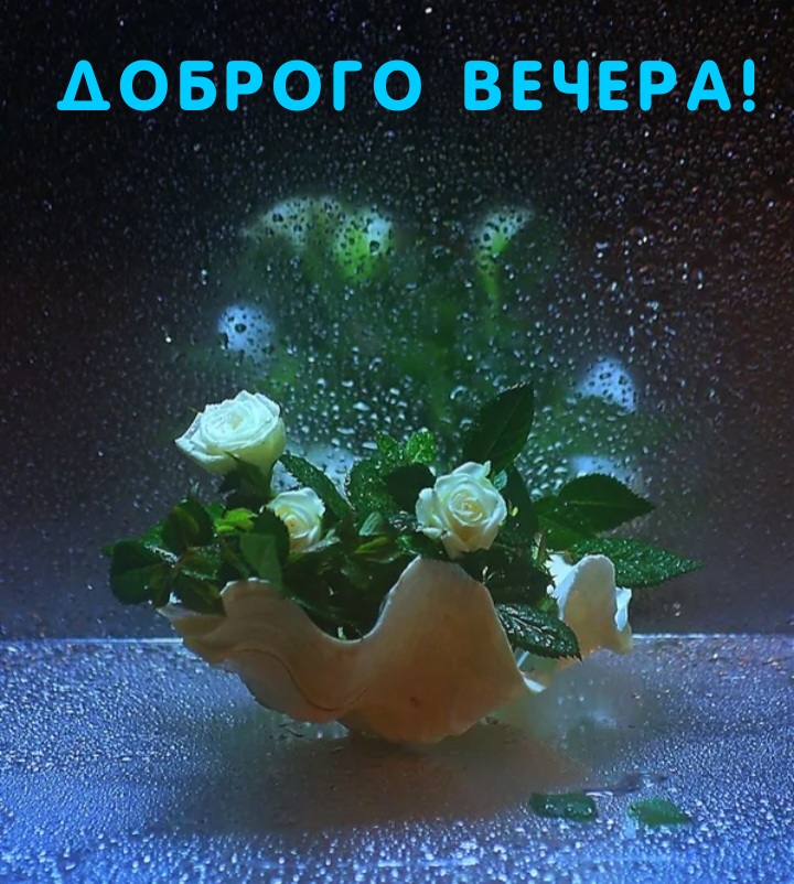   :  !