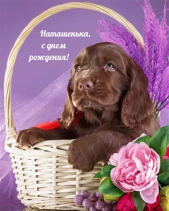 ,   !