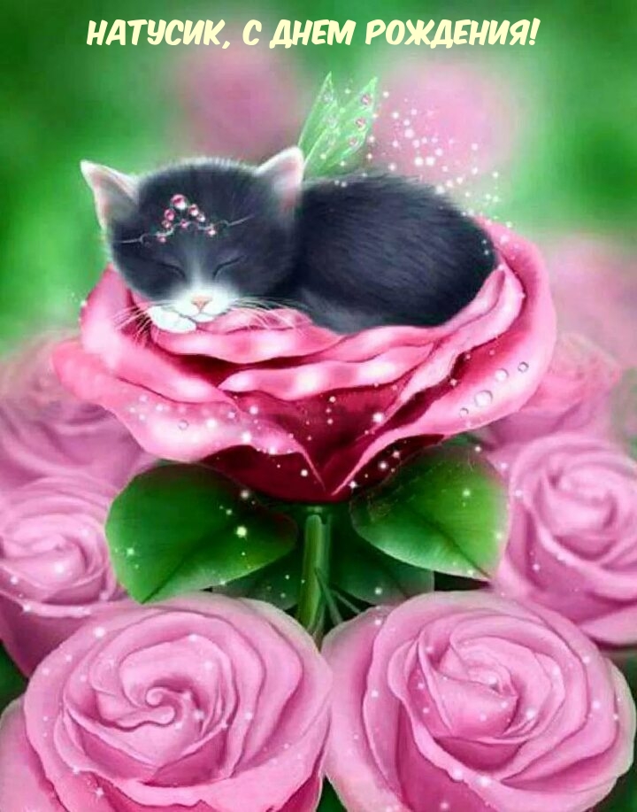 ,   !.