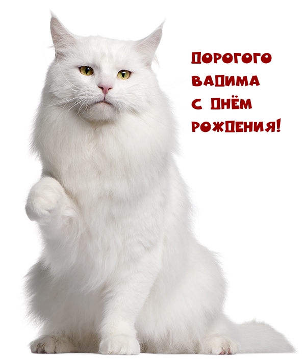     !