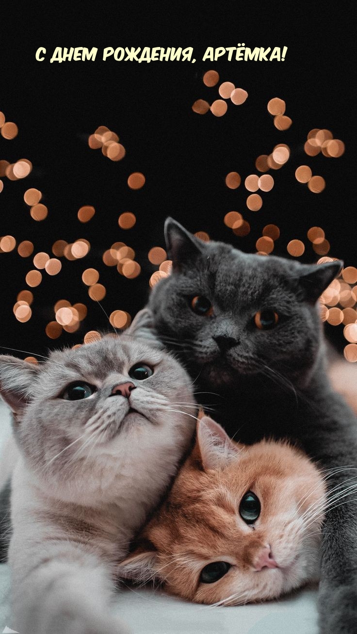   , !