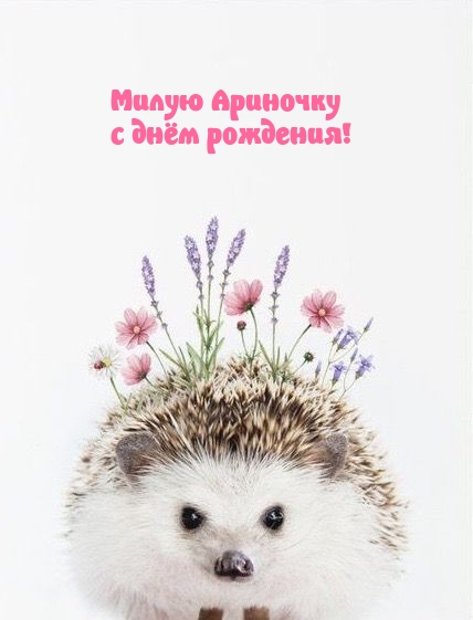 Милую Ариночку с днём рождения!.