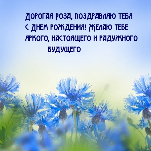 Дорогая Роза, поздравляю тебя с Днем рождения!.