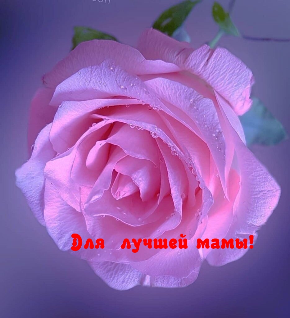   !