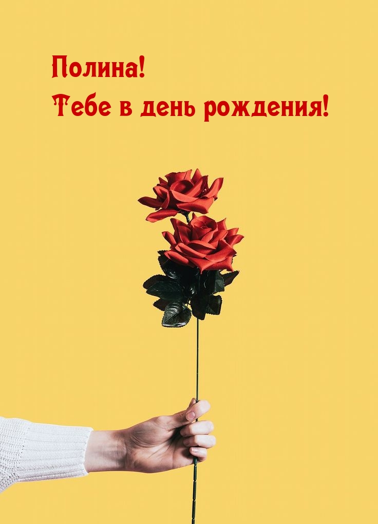 Полина! Тебе в день рождения!