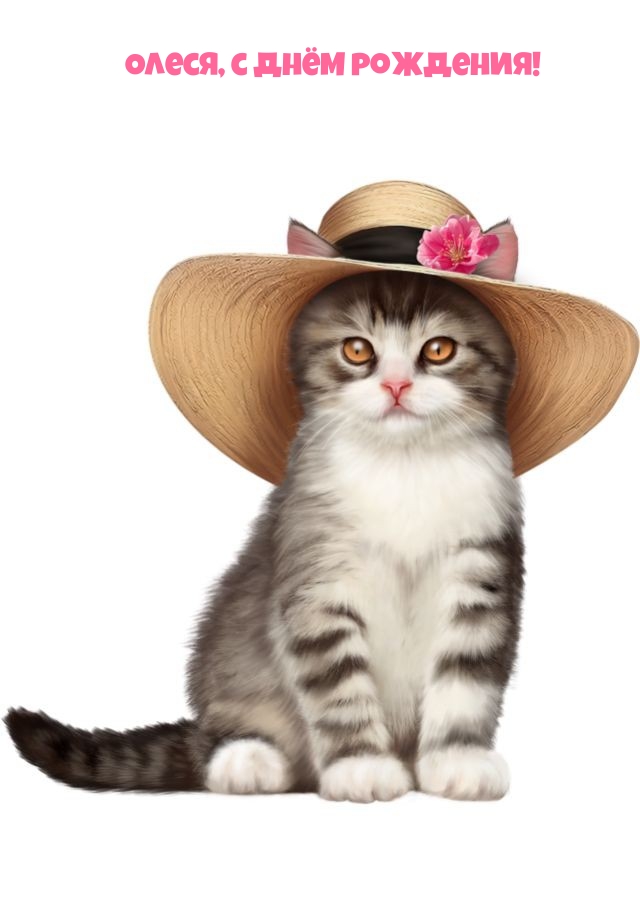 ,   !.
