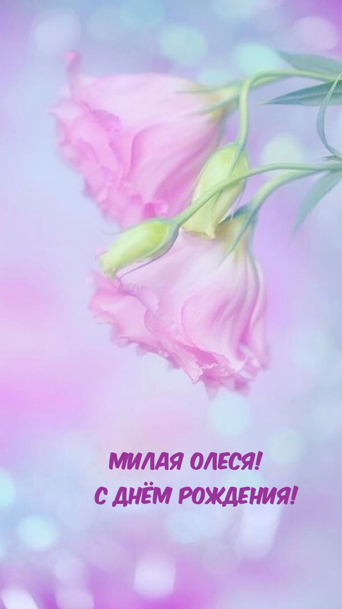 Милая Олеся! С днём рождения!.