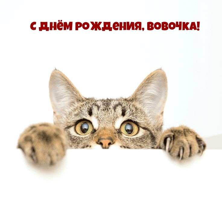 С днём рождения, Вовочка!