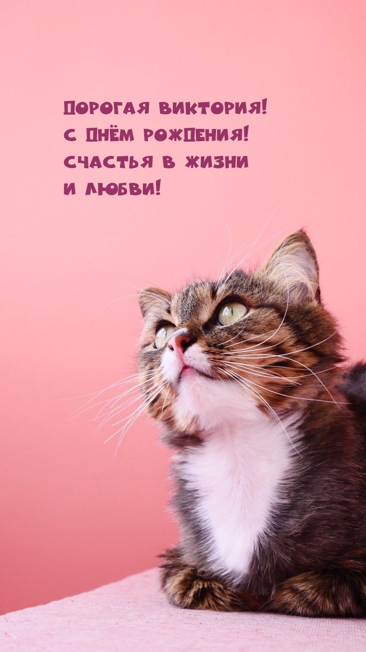  !   !     !