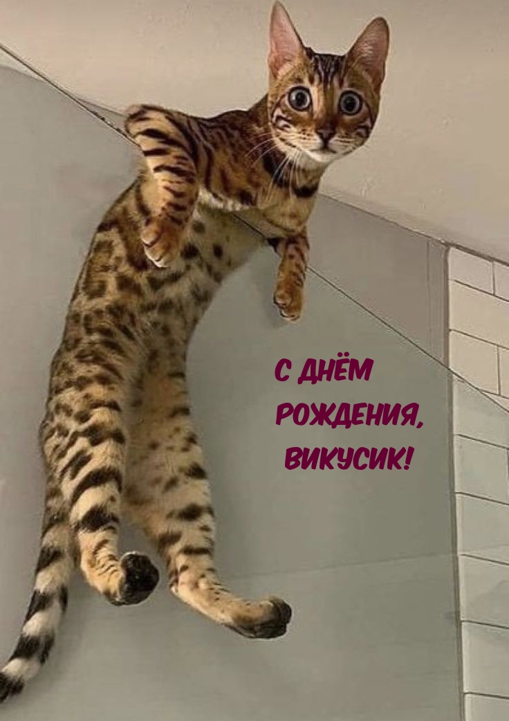 С днём рождения, Викусик!