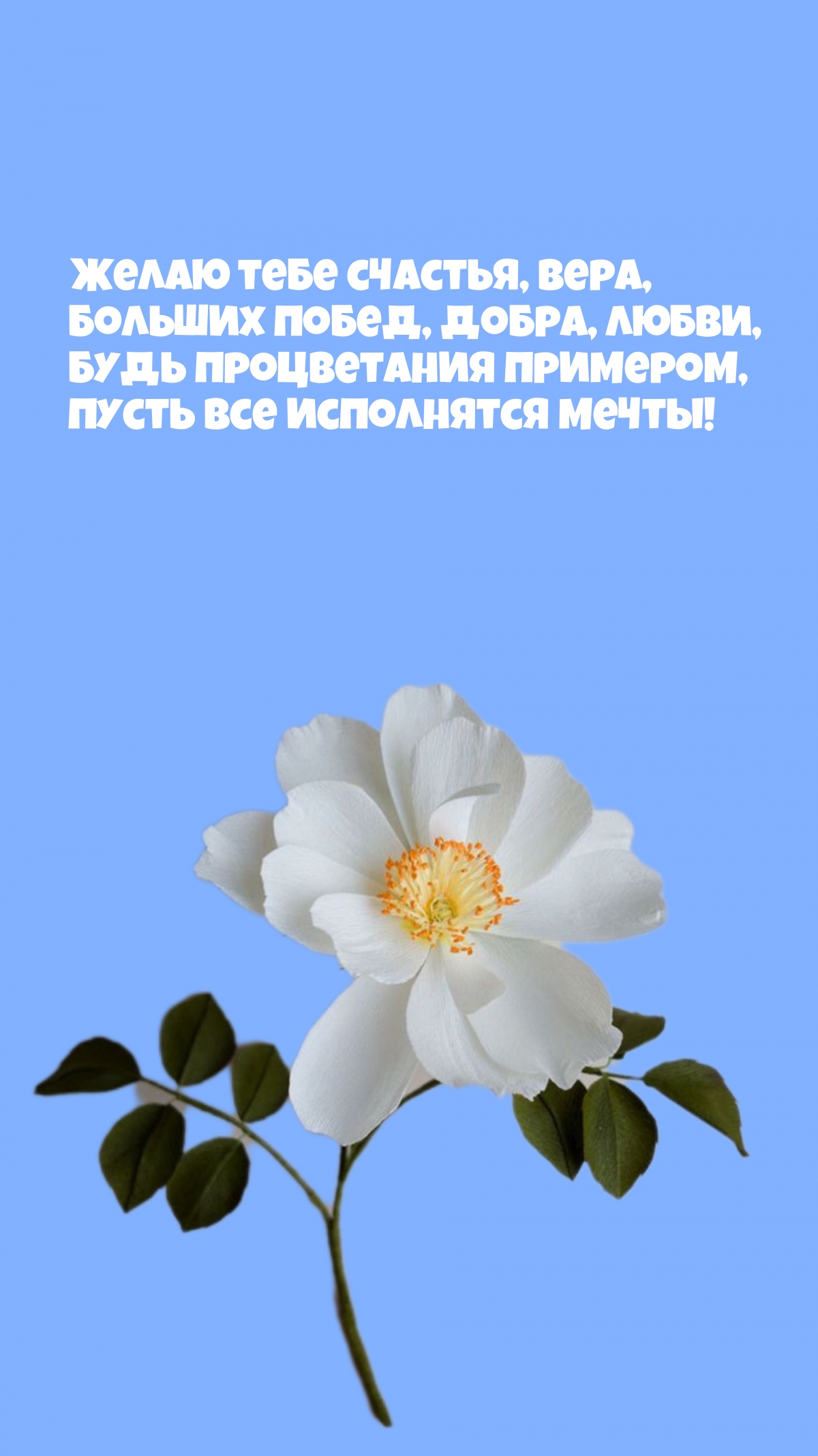   , ,  , , 