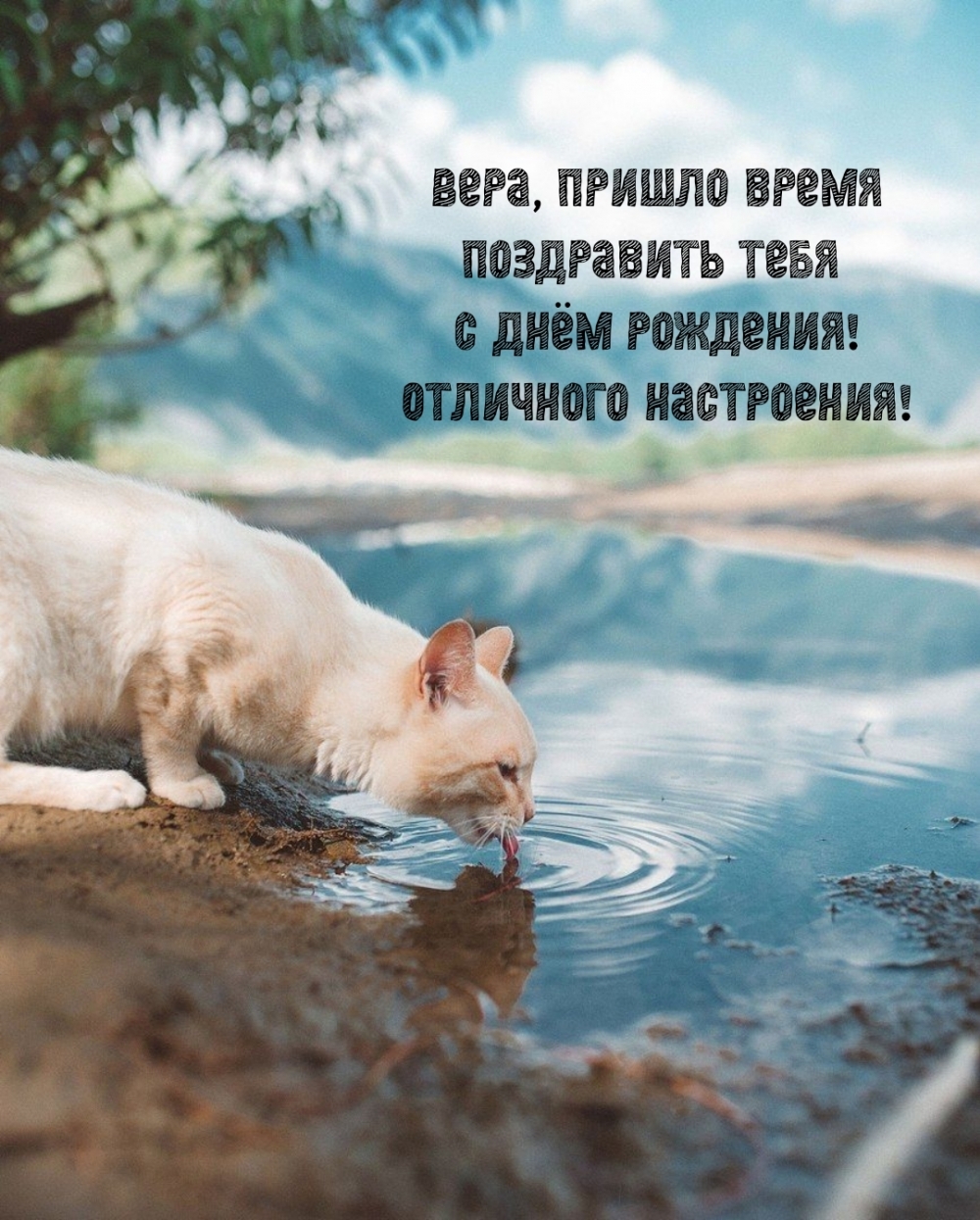 ,       !
