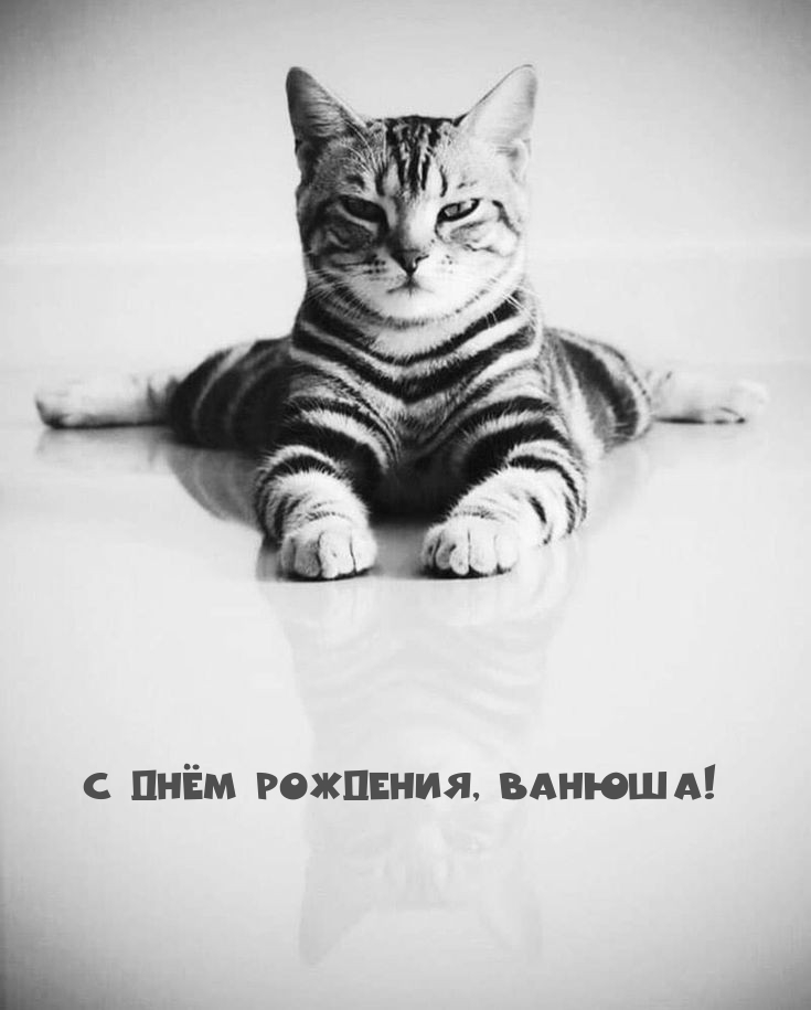   , !