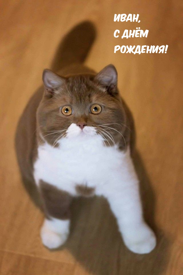 Иван, с днём рождения!.