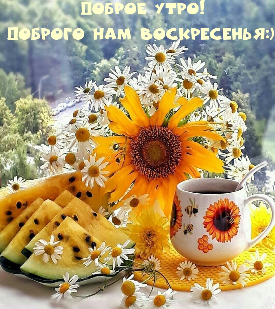 Доброе утро! Доброго нам Воскресенья:)