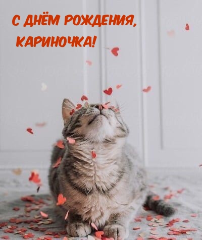 С днём рождения, Кариночка!.