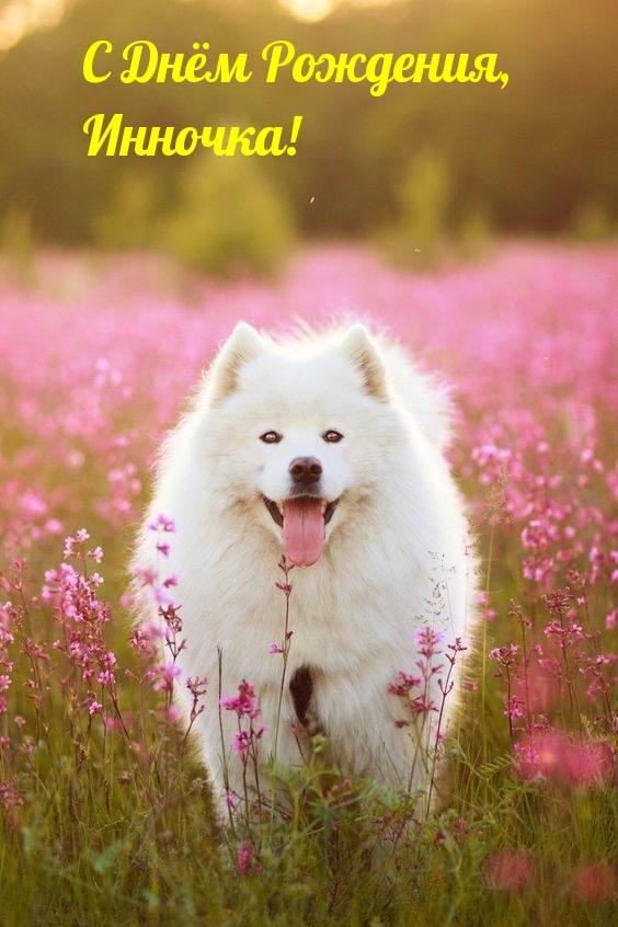   , !.