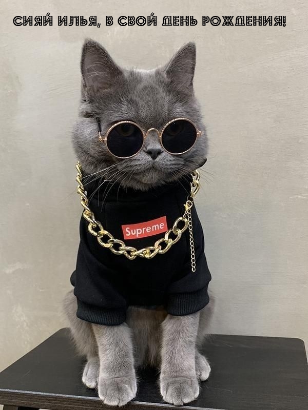  ,    !.