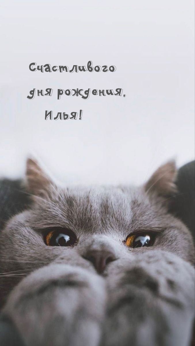   , !