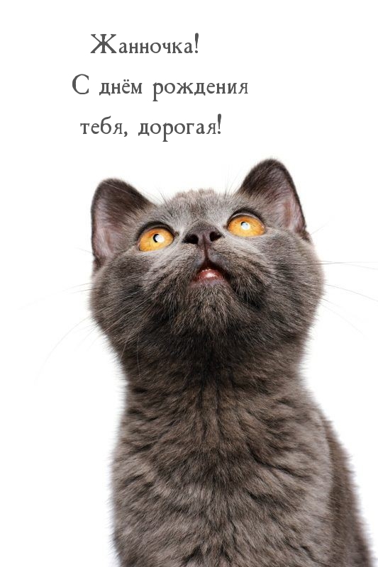 !    , !.