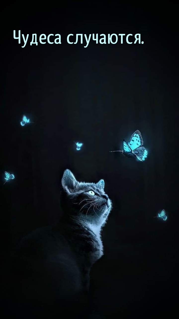  ..