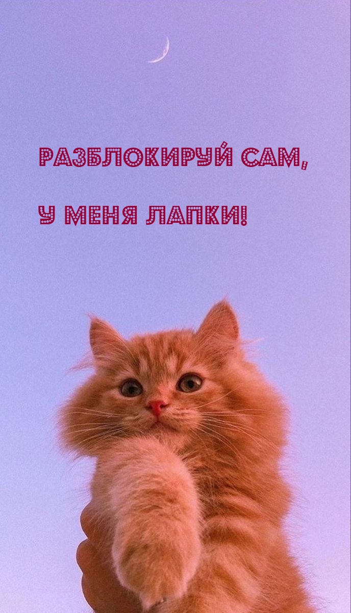 Разблокируй сам, У меня лапки!.