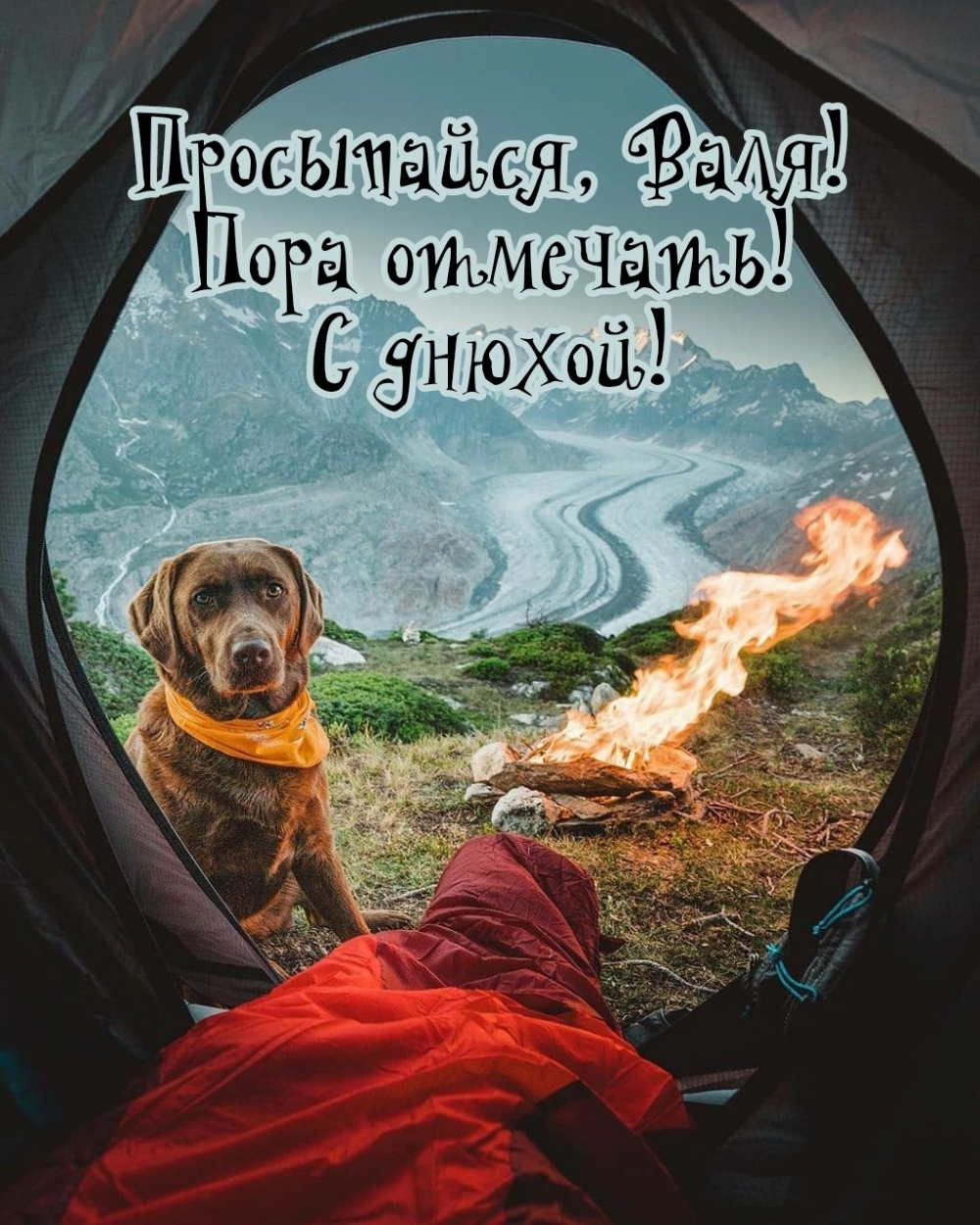 , !  !  !