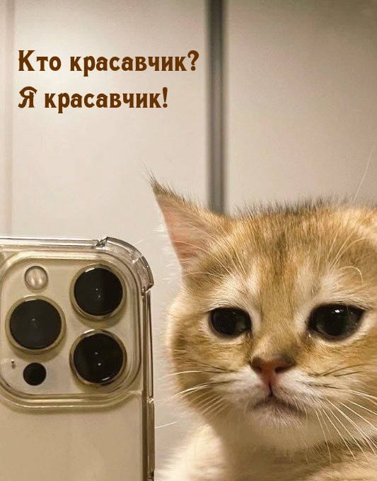   :  ?  !