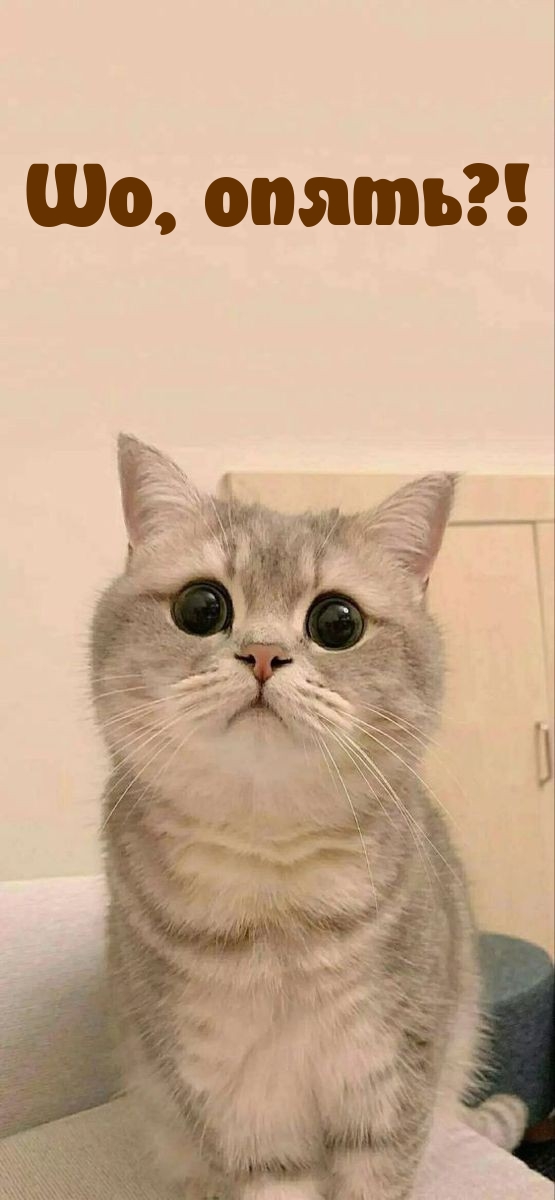   : , ?!