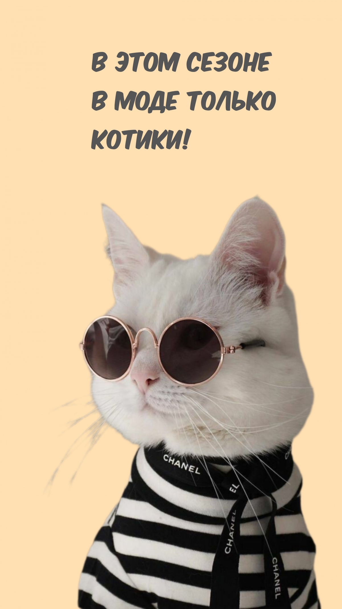   :       !