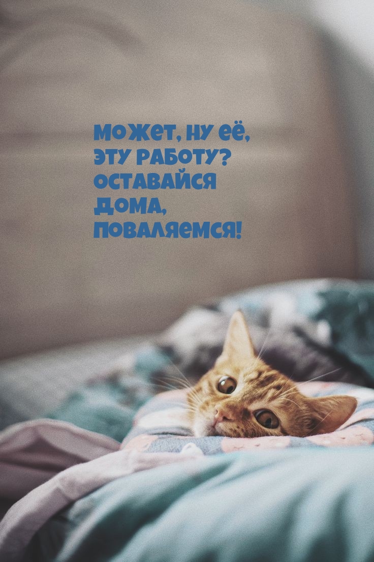 ,  ,  ?  , !
