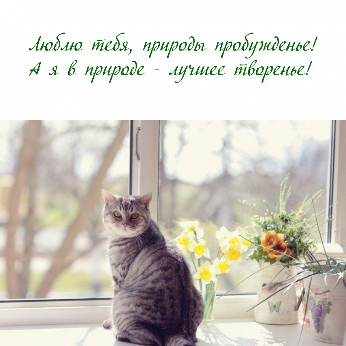   :   !     -  ! 