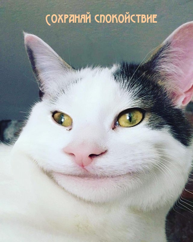   :  
