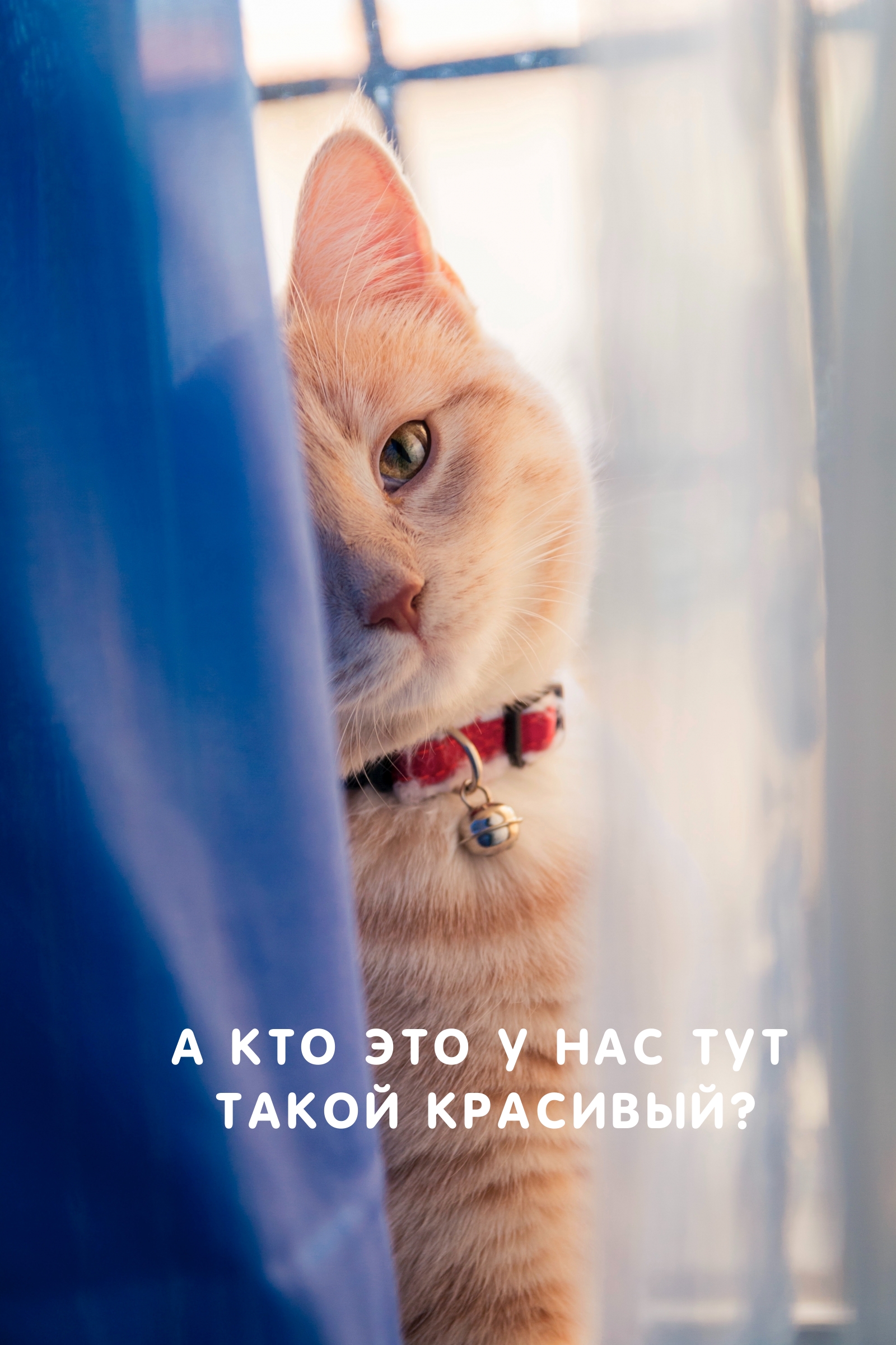   :        ?