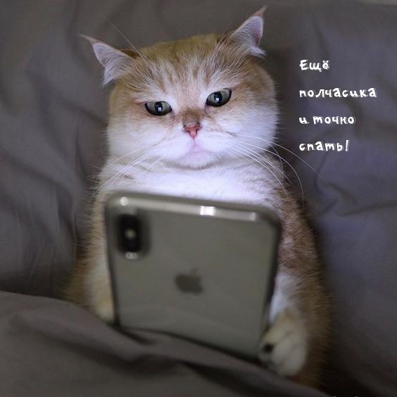     !.