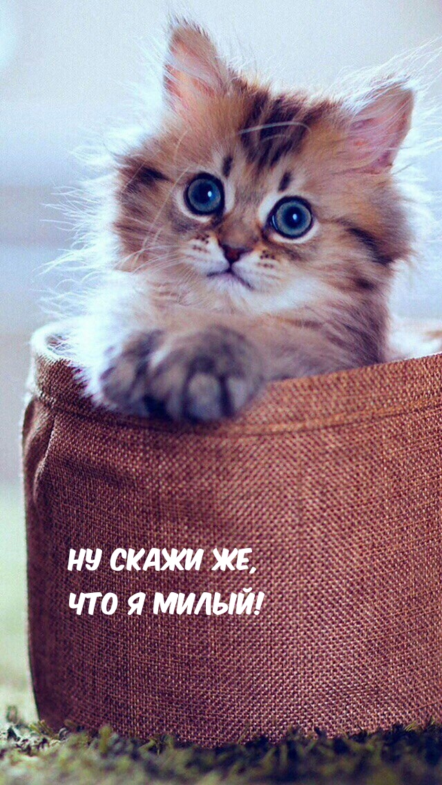   ,   !.