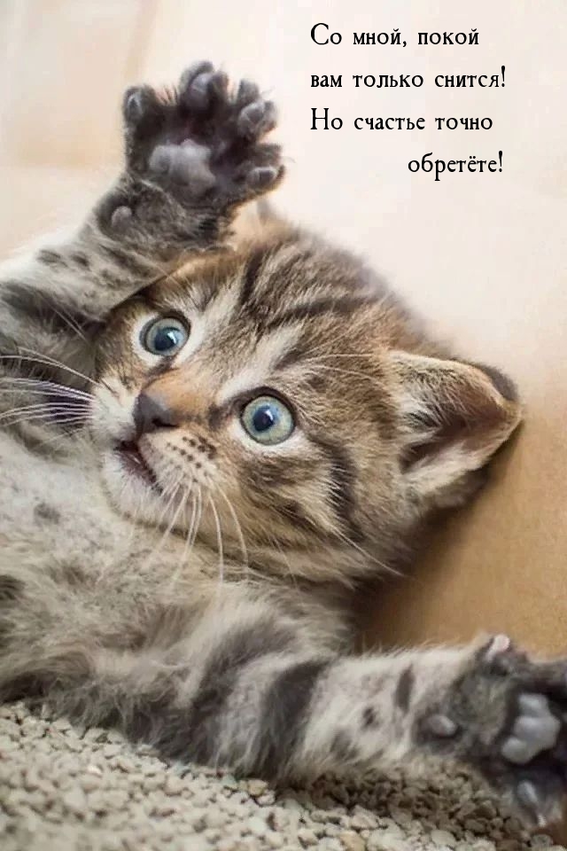   :  ,    !    ! 