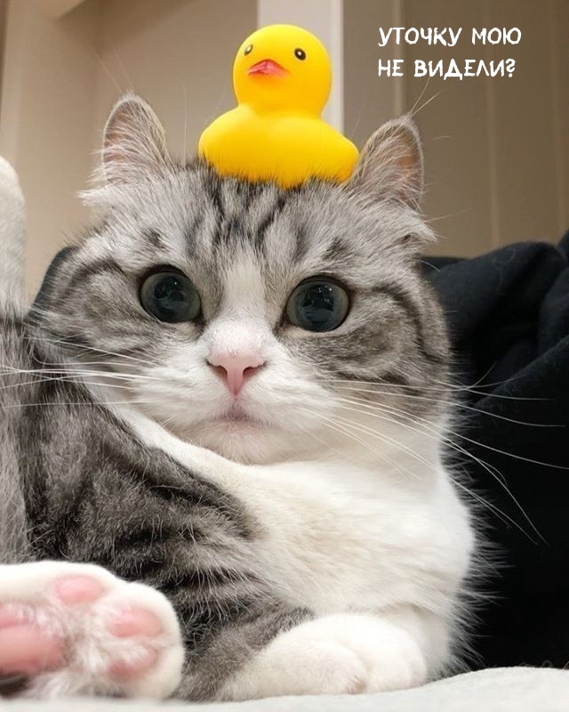    ?.