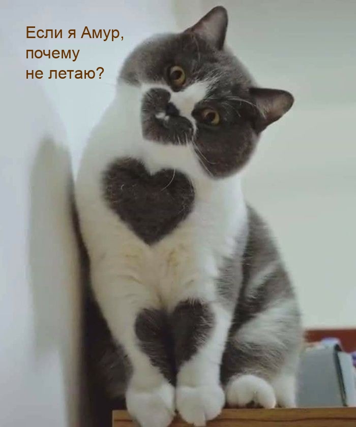   ,   ?.