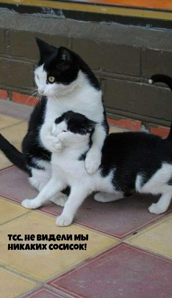 ,     !.