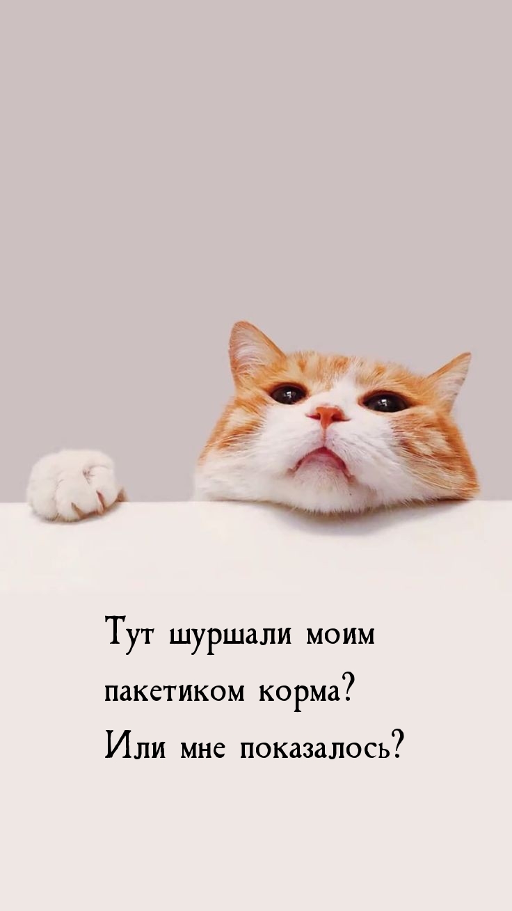   :     ?   ?