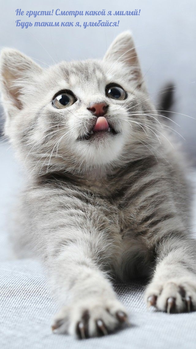  !    !    , !.