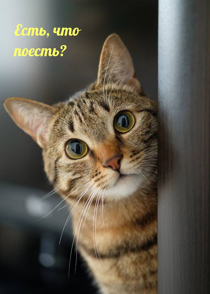 ,  ?