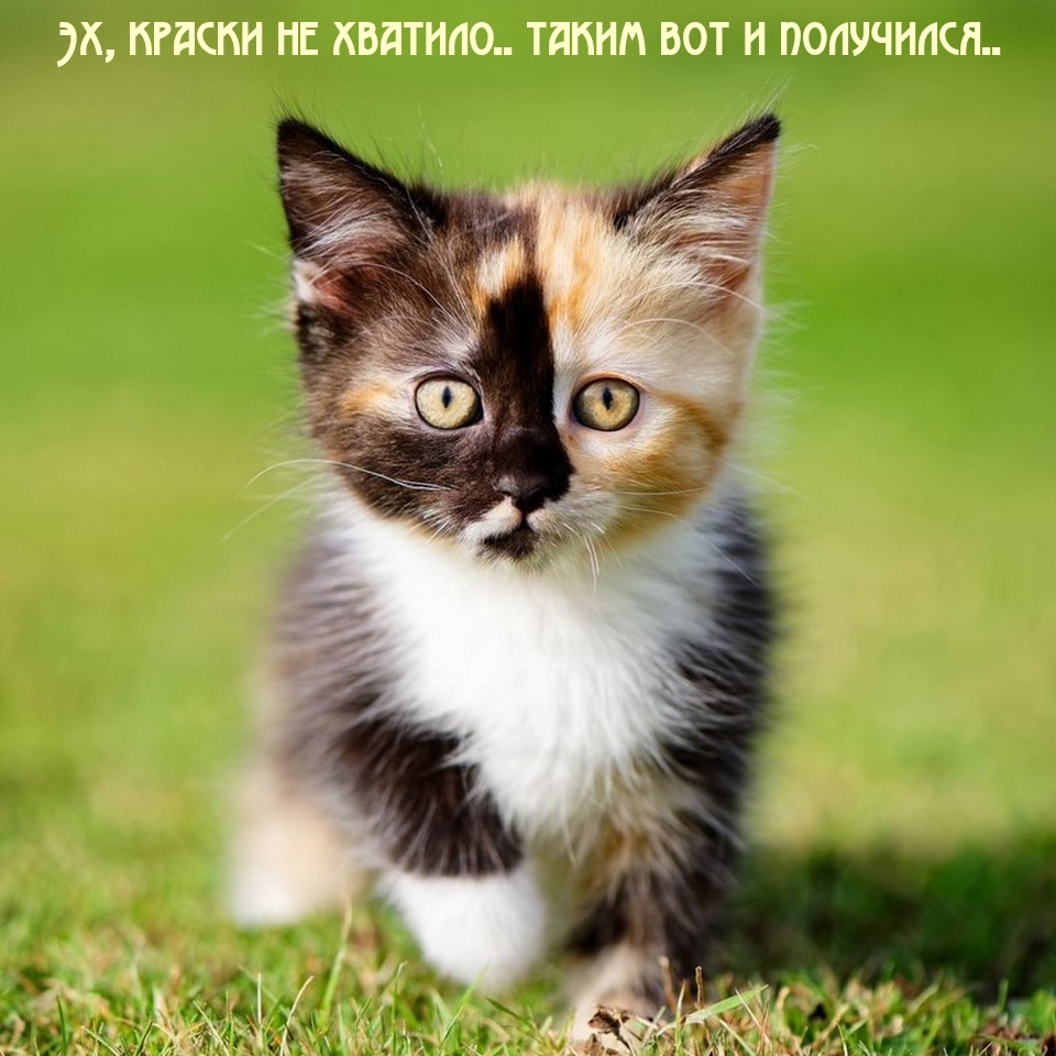   : ,   ..    ..