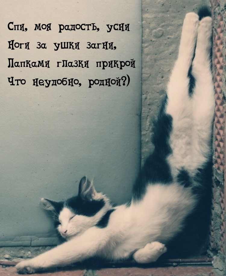     , ?)