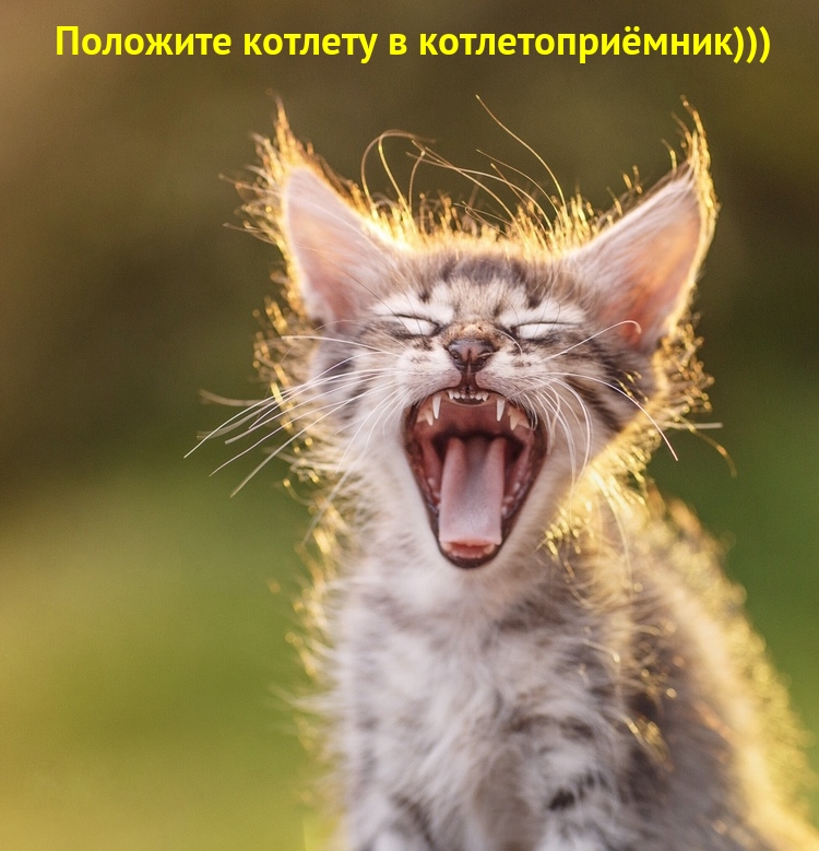    )))