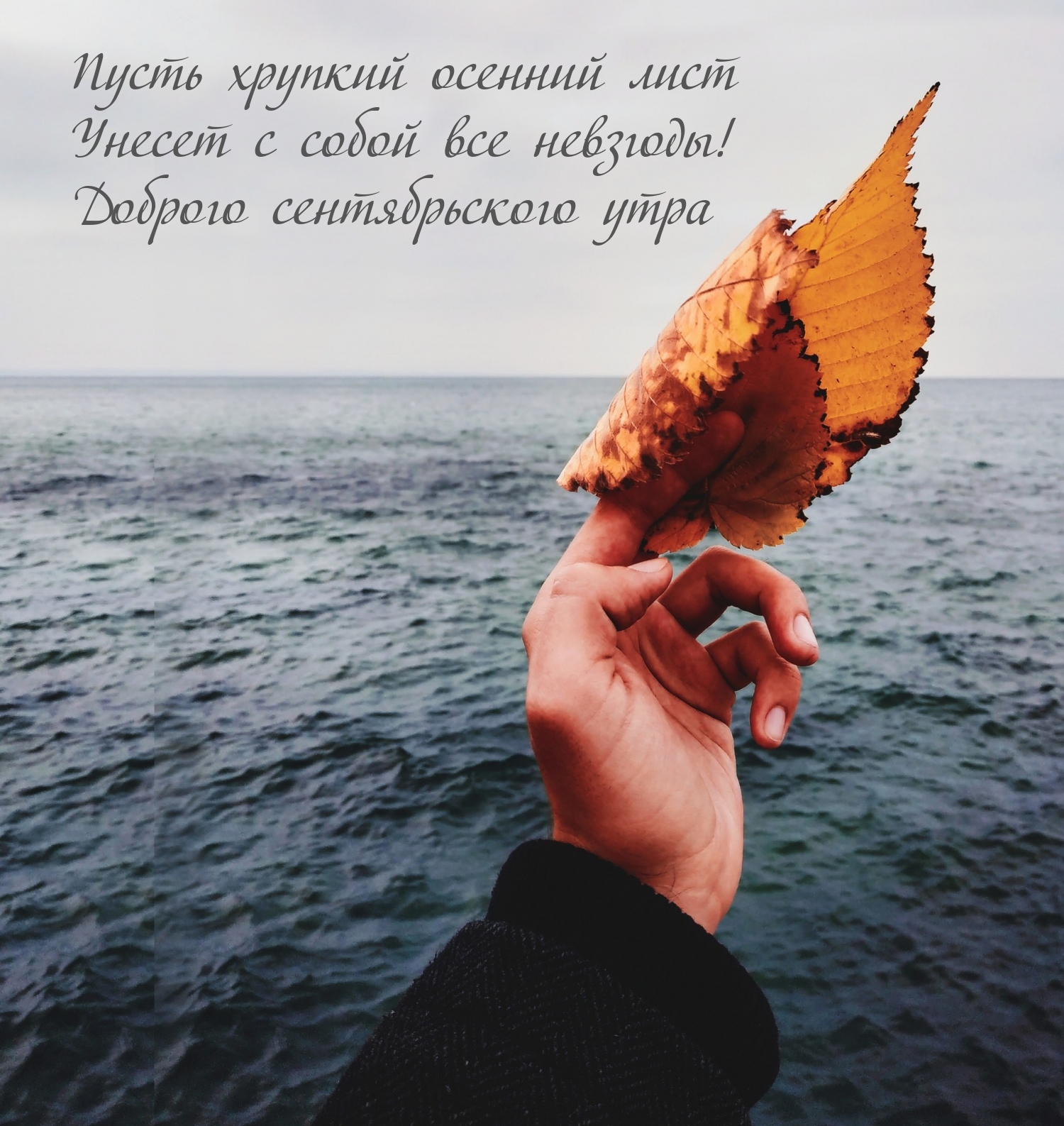   .     !