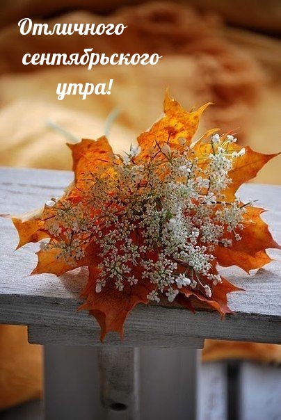 Отличного сентябрьского утра!.