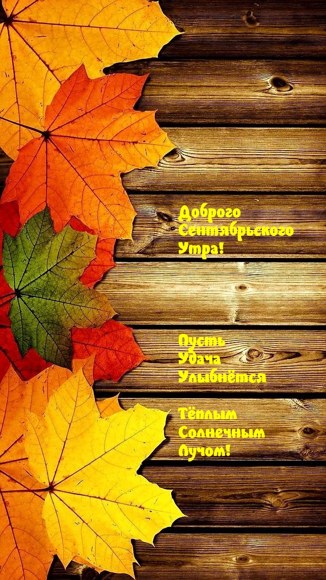 Доброго Сентябрьского утра! Пусть удача улыбнётся.