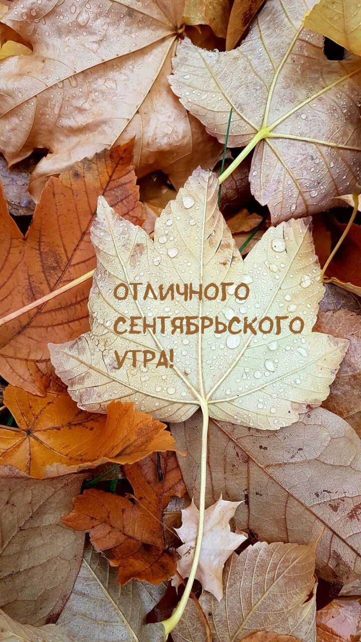 Отличного Сентябрьского Утра!.